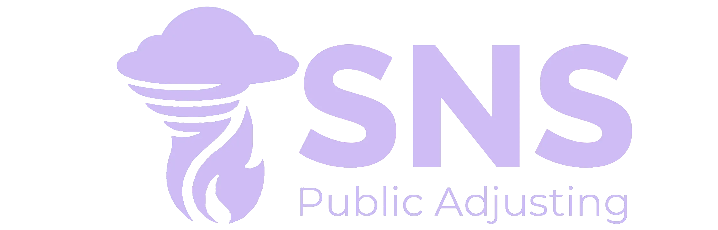 SNS Public Adusting Purple